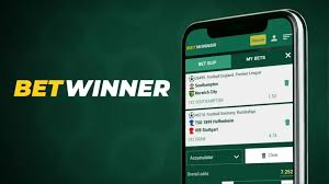 Betting with BetWinner Your Ultimate Guide